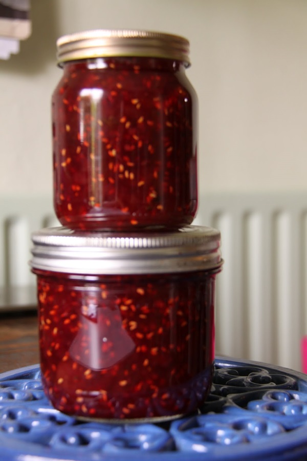 Recettes de confiture de groseilles à maquereau