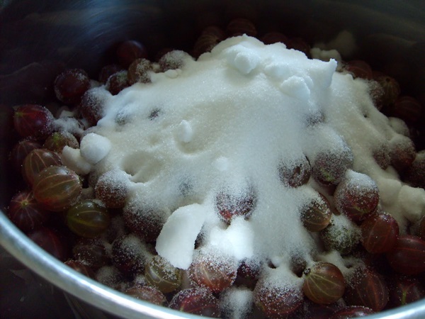 Recettes de confiture de groseilles à maquereau