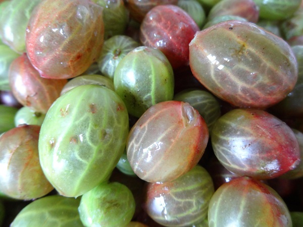 Recettes de confiture de groseilles à maquereau