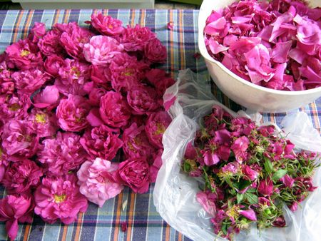 Confiture de pétales de roses Confiture de pétales de roses