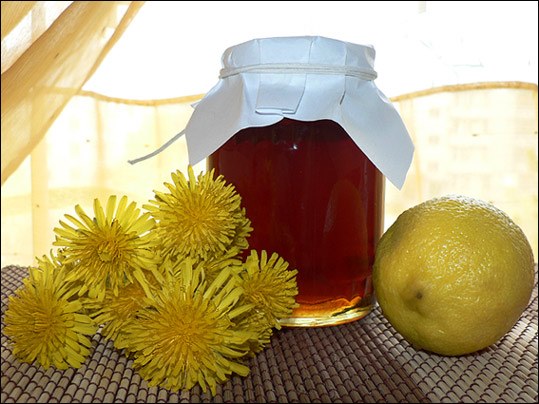 pissenlit et citron