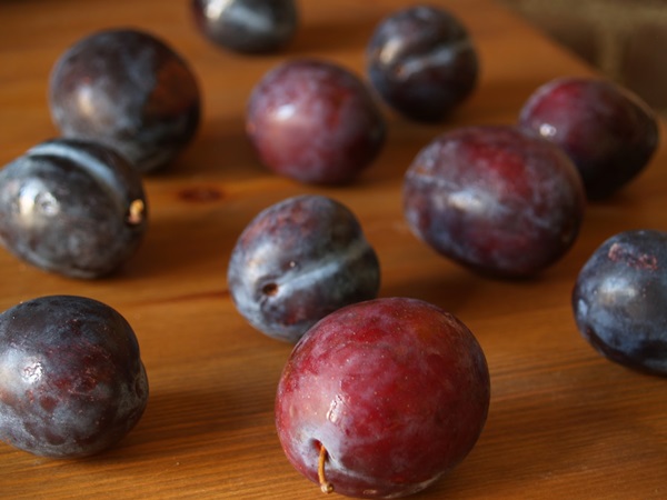 Comment faire de la confiture à partir d'une prune avec une pierre et dénoyautées - recettes simples