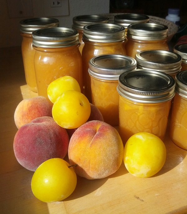Comment faire de la confiture à partir d'une prune avec une pierre et dénoyautées - recettes simples