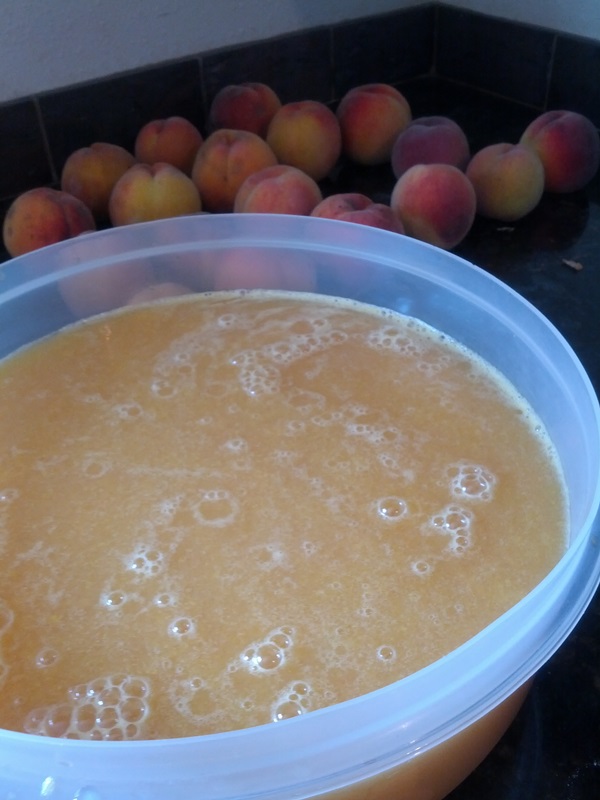 Comment faire de la confiture à partir d'une prune avec une pierre et dénoyautées - recettes simples