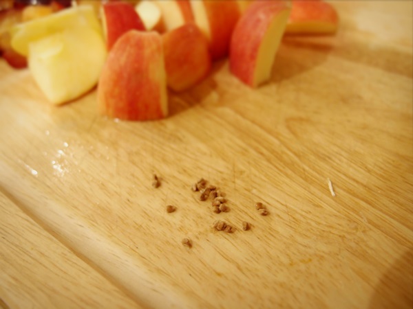 Comment faire de la confiture à partir d'une prune avec une pierre et dénoyautées - recettes simples