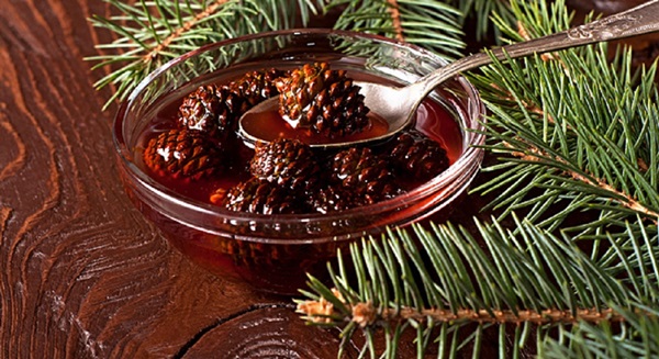 Confiture originale de pommes de pin