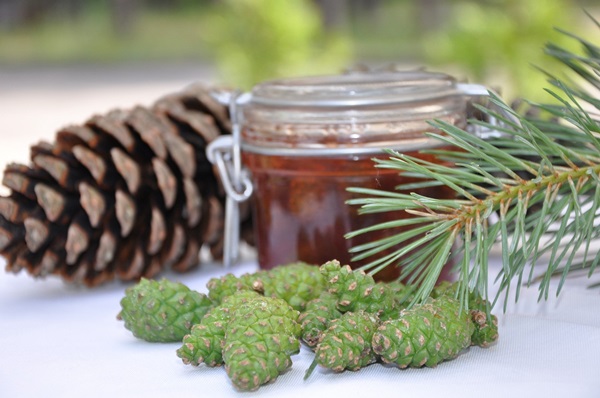 Confiture originale de pommes de pin
