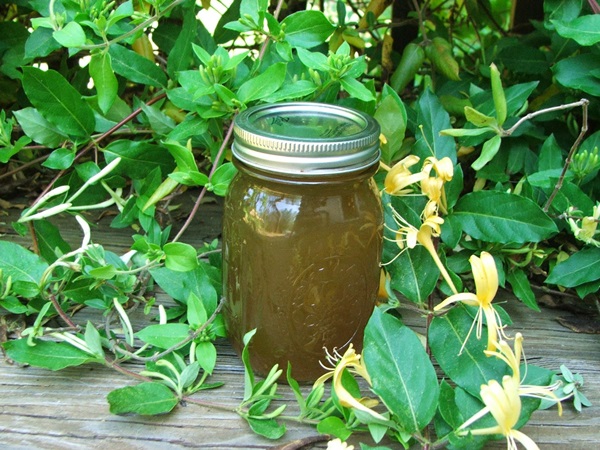 Confiture de chèvrefeuille
