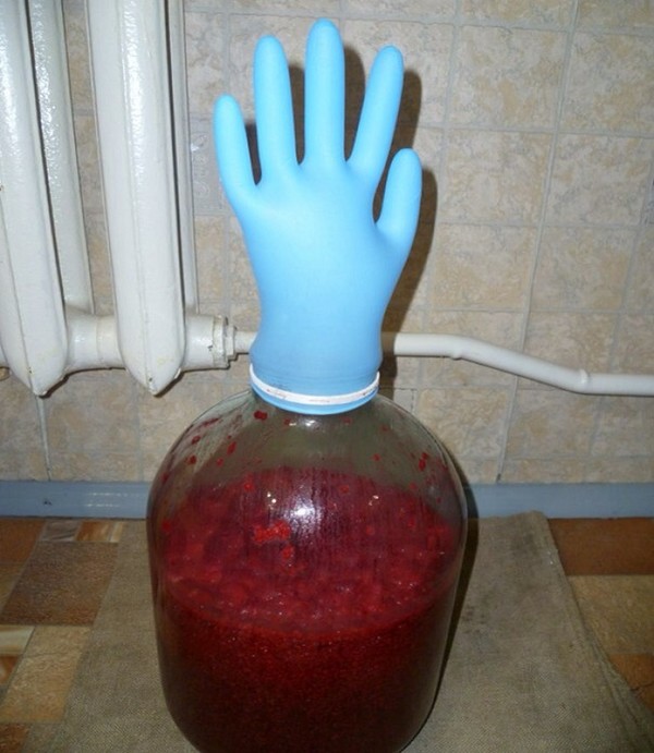 Vin de framboise à la maison - recettes simples
