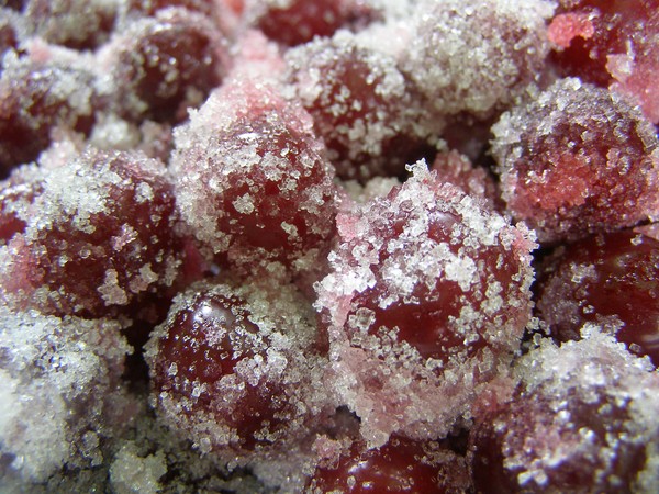 Cerises pour l'hiver - recettes - confiture avec graines et dénoyautées, cinq minutes, confiture, gelée sans gélatine, compote de cerise