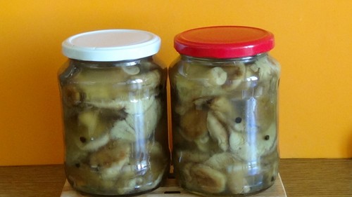 Volnushki: recettes et photos