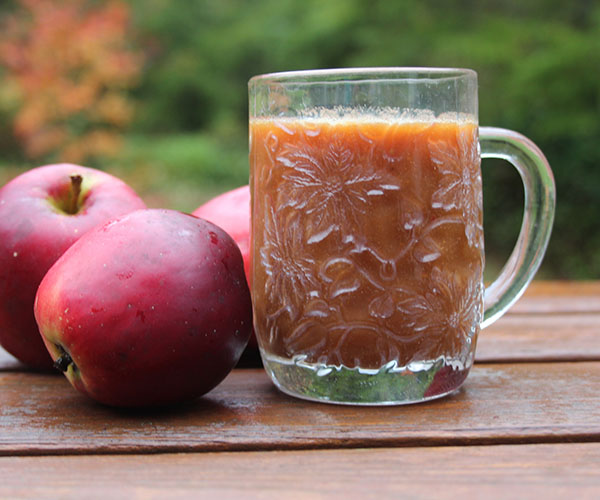 Comment préparer le jus de pomme pour l'hiver