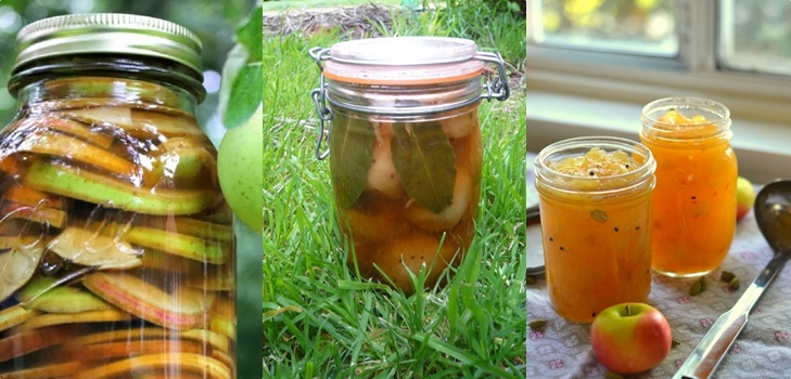 Les pommes pour l'hiver dans les banques - billettes et recettes - trempées et les coins, compote, confiture, billette. Comment garder les pommes en hiver à la maison