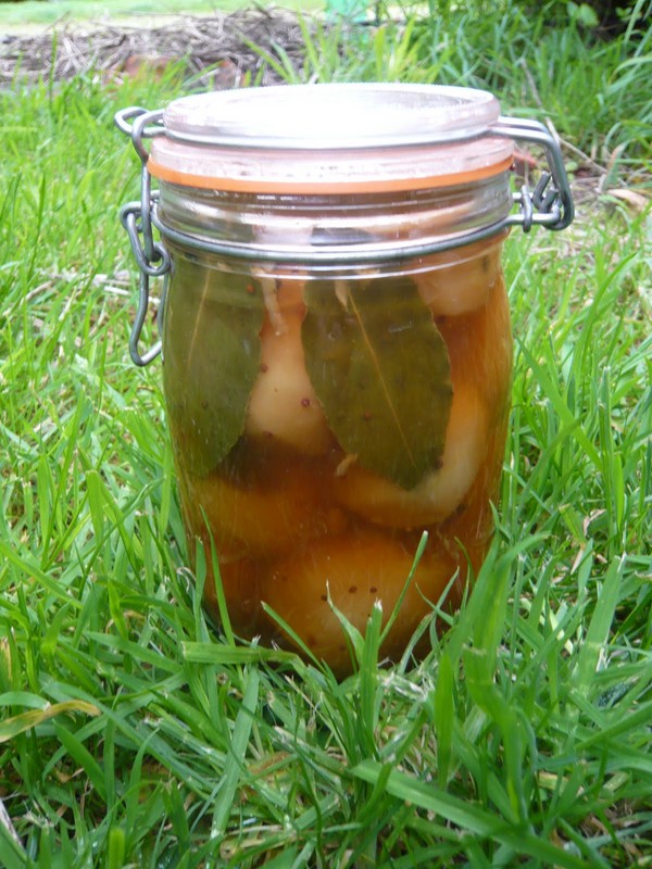 Les pommes pour l'hiver dans les banques - billettes et recettes - trempées et les coins, compote, confiture, billette. Comment garder les pommes en hiver à la maison