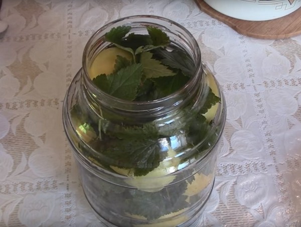 Les pommes pour l'hiver dans les banques - billettes et recettes - trempées et les coins, compote, confiture, billette. Comment garder les pommes en hiver à la maison