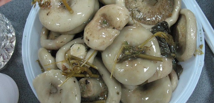 Récolter des champignons pour l'hiver