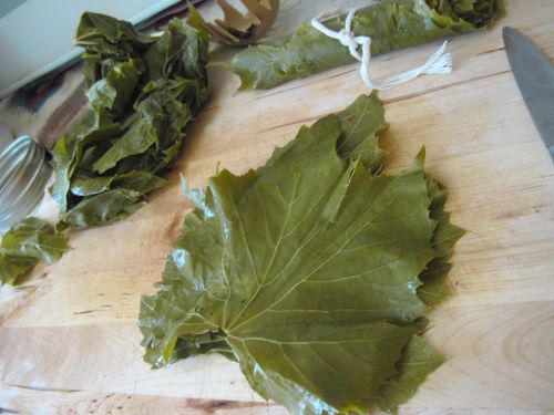 Comment décaper les feuilles de vigne pour dolma