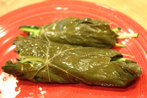 La recette pour récolter des feuilles de vigne pour dolma Comment décaper les feuilles de vigne pour dolma