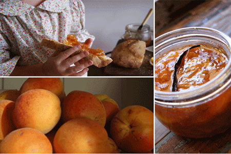 Billettes d'abricots pour l'hiver