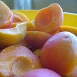 Billettes d'abricots pour l'hiver