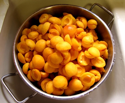 Billettes d'abricots pour l'hiver