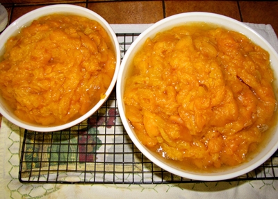Billettes d'abricots pour l'hiver