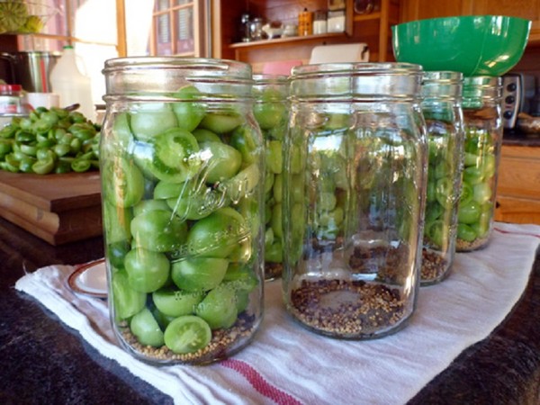 Tomates vertes, recettes pour l'hiver. Comment faire cuire les tomates vertes - mariné, mariné, coréen