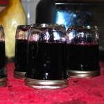 Gelée de myrtilles pour l'hiver - recette de photo pour la cuisine