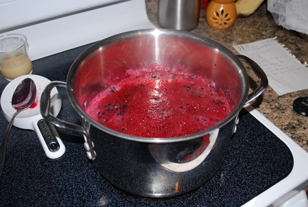 Gelée de myrtilles pour l'hiver - recette de photo pour la cuisine