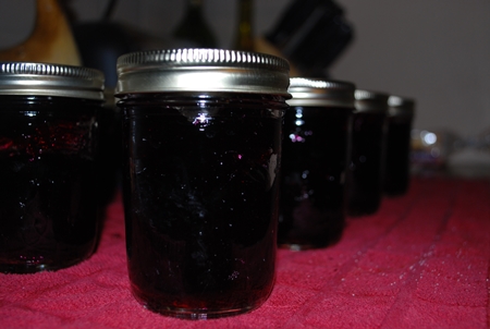 Gelée de myrtilles pour l'hiver - recette de photo pour la cuisine