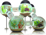 Design d'intérieur: Aquarium