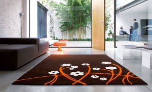 Tapis à l'intérieur Tapis à l'intérieur