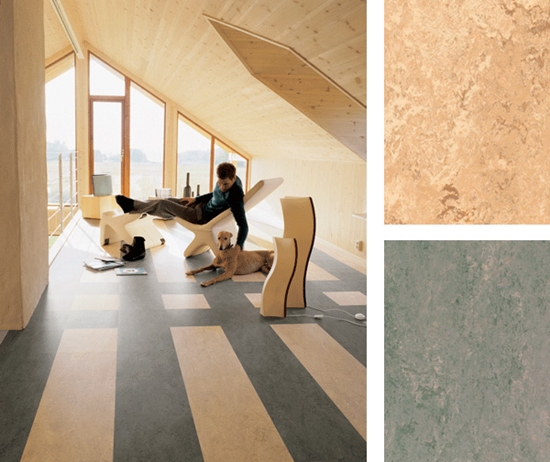 Couvre-plancher pour la maison: choisissez le meilleur