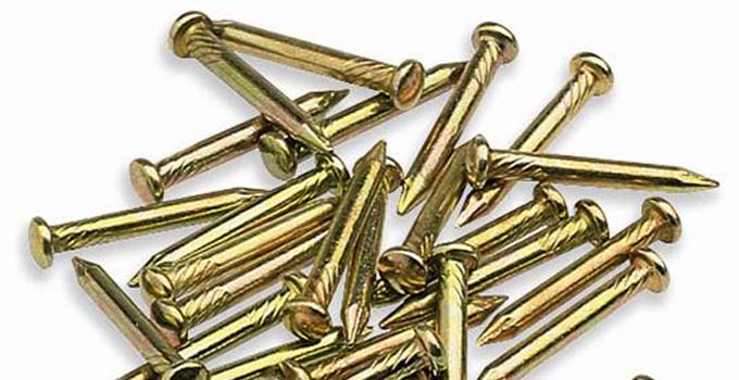 Des ongles si différents ...
