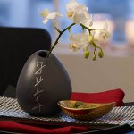 Vases à l'intérieur