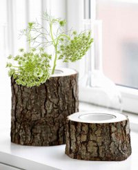Vases à l'intérieur