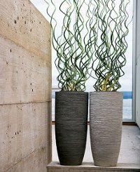 Vases à l'intérieur