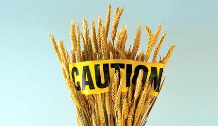 10 faits sur le gluten