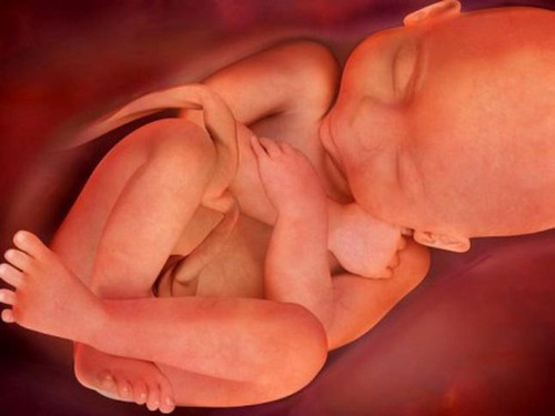 37 semaines de grossesse