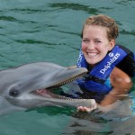 Dolphin therapy: se baigner avec les dauphins Dolphin therapy: se baigner avec les dauphins