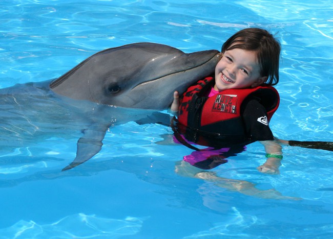 Dolphin therapy: se baigner avec les dauphins