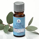 Huile essentielle d'eucalyptus Huile essentielle d'eucalyptus