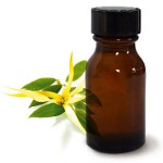 Huile essentielle Ylang Ylang Huile essentielle Ylang Ylang