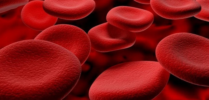 Hémoglobine pendant la grossesse