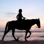 L'hippothérapie: une méthode complète de rééducation L'hippothérapie: une méthode complète de rééducation