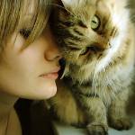 Comment les chats traitent les gens Comment les chats traitent les gens