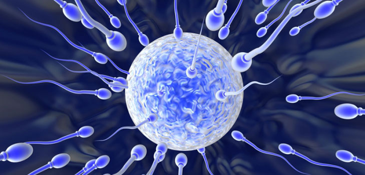 Comment choisir un contraceptif