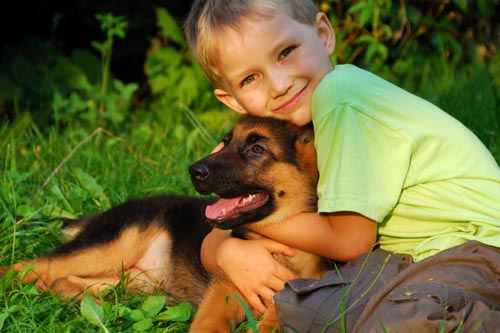 Quelles maladies des chiens sont dangereuses pour les humains