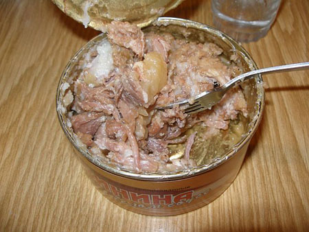 La nourriture en conserve: bonne et mauvaise