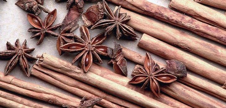 Les propriétés curatives de la cannelle